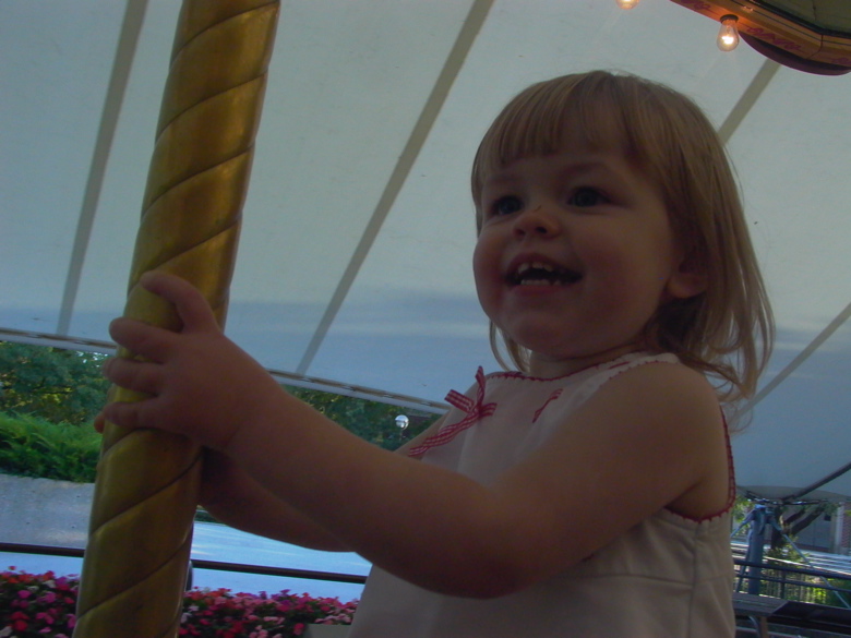 Erica carousel